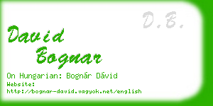 david bognar business card