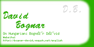 david bognar business card